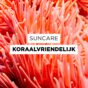 Sustainability_Suncare_Koraalvriendelijk.jpg